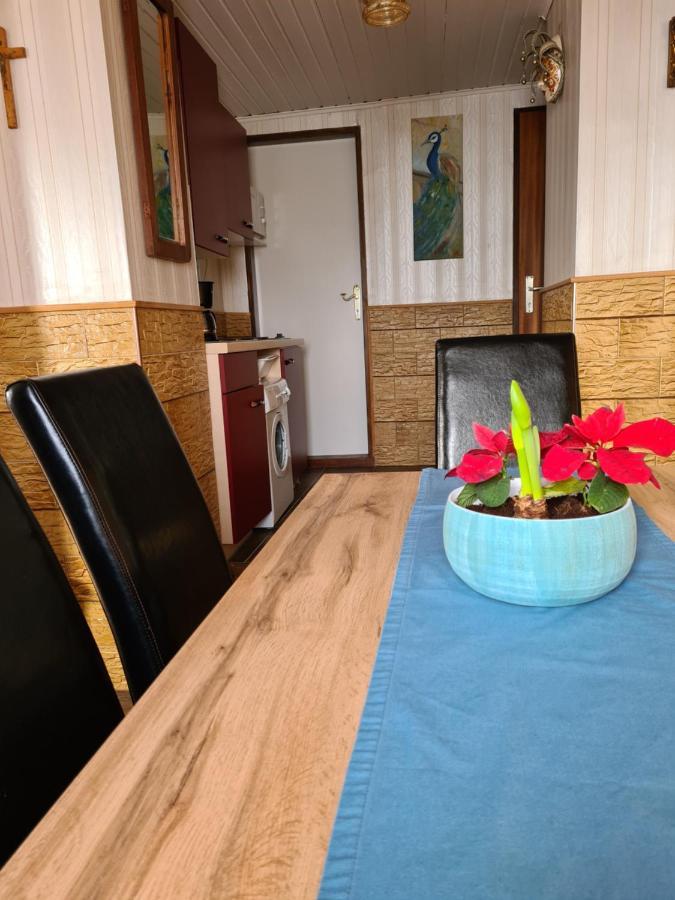 Alexandra Appartement Gersdorf المظهر الخارجي الصورة